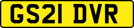 GS21DVR