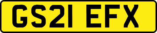 GS21EFX