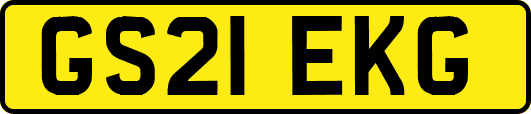 GS21EKG