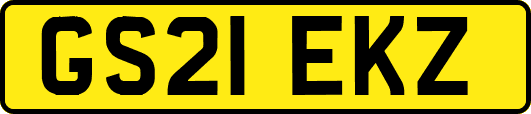 GS21EKZ