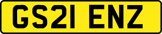 GS21ENZ