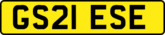 GS21ESE