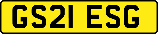 GS21ESG