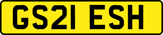 GS21ESH