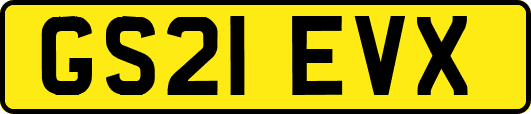 GS21EVX
