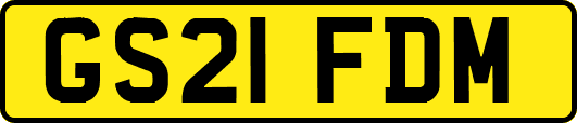 GS21FDM