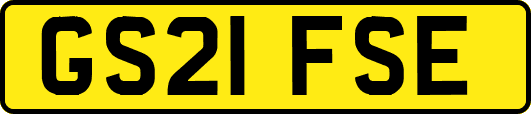 GS21FSE
