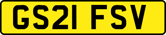 GS21FSV