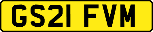 GS21FVM