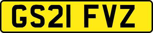 GS21FVZ