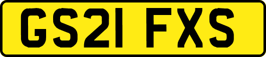 GS21FXS