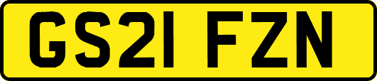 GS21FZN