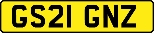 GS21GNZ
