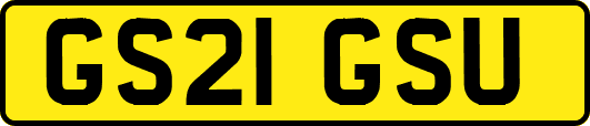 GS21GSU