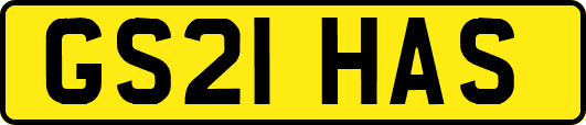GS21HAS
