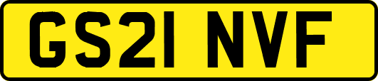 GS21NVF