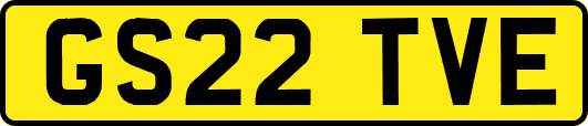 GS22TVE