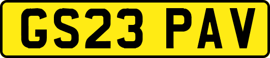 GS23PAV
