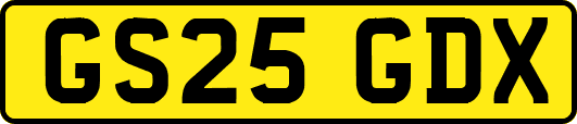 GS25GDX
