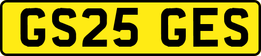 GS25GES
