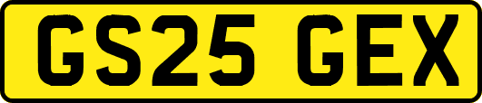 GS25GEX