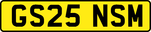 GS25NSM