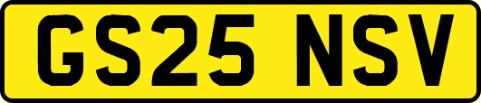 GS25NSV