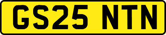 GS25NTN