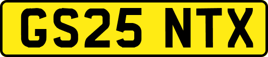 GS25NTX