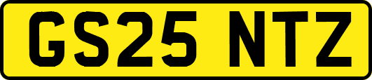 GS25NTZ