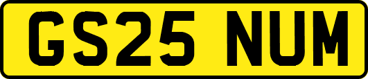 GS25NUM