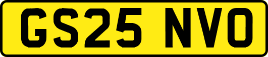 GS25NVO