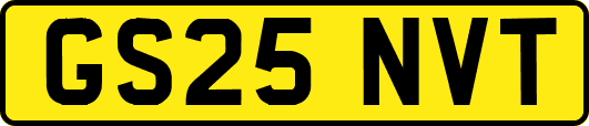 GS25NVT