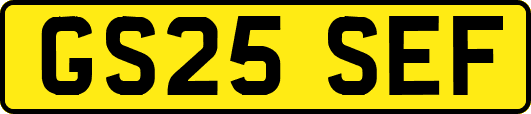 GS25SEF