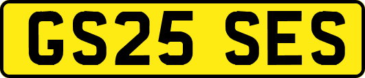 GS25SES