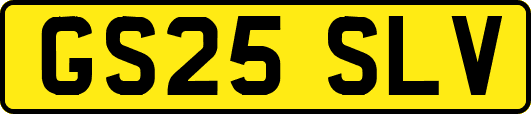 GS25SLV