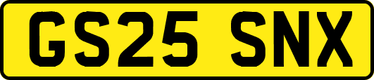 GS25SNX