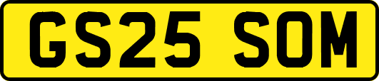 GS25SOM