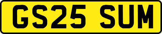 GS25SUM
