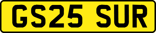 GS25SUR