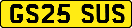 GS25SUS