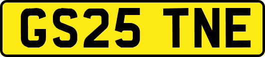 GS25TNE