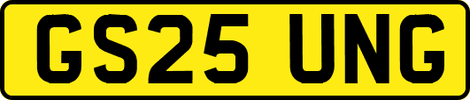 GS25UNG