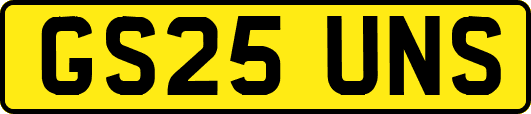 GS25UNS