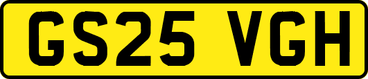 GS25VGH