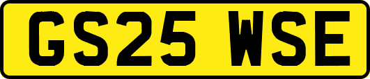 GS25WSE