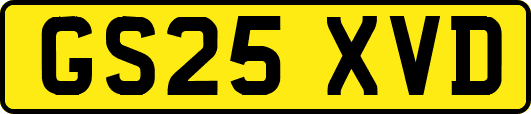 GS25XVD