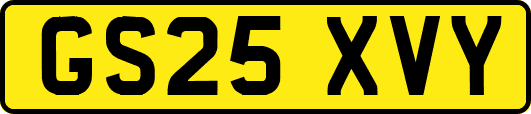 GS25XVY
