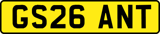 GS26ANT