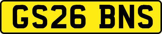 GS26BNS